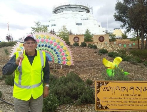 Volunteering at the Great Stupa